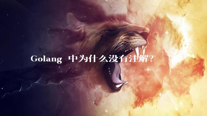 Golang 中为什么没有注解？